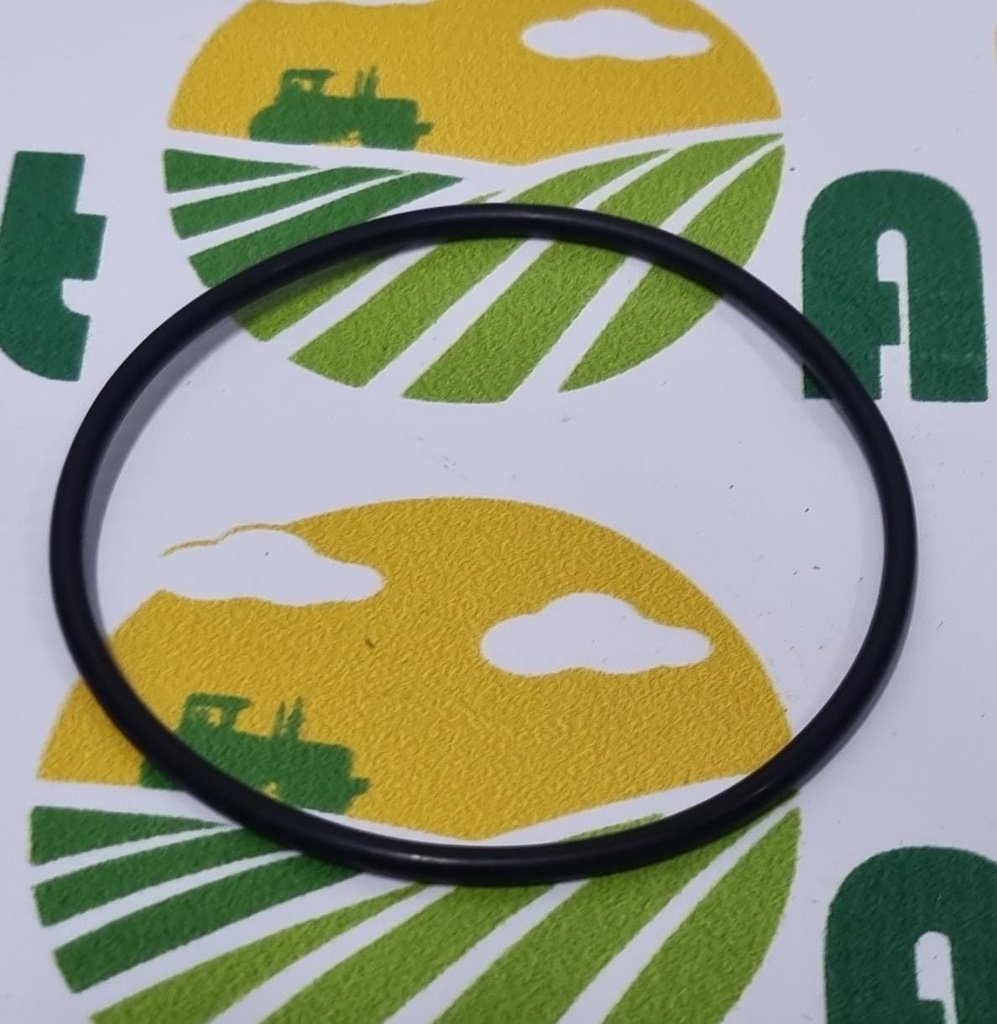 O-ring 1004633M1