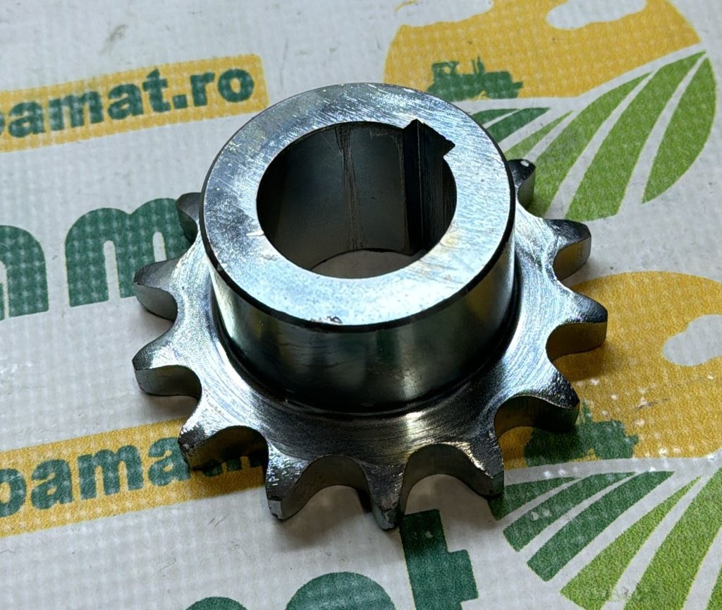 Pinion Dominoni 11087