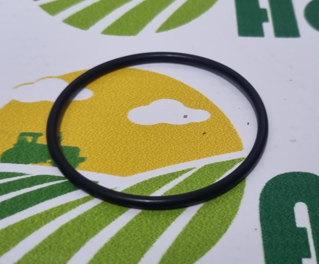 O-ring X548932466000