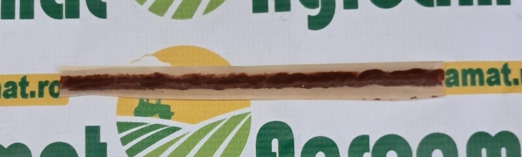 Sfoara de Reparatie