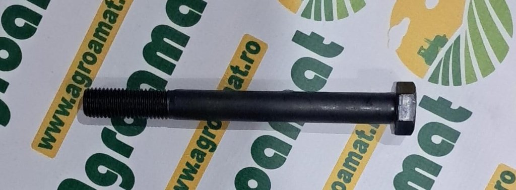Surub Cap Hexagonal M20x200mm
