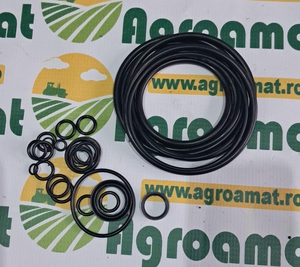 Set Garnituri Servodirectie