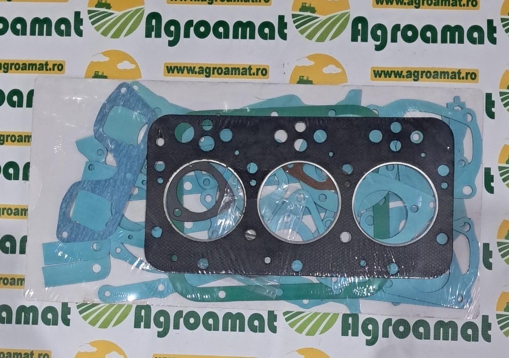 Set Garnituri Motor