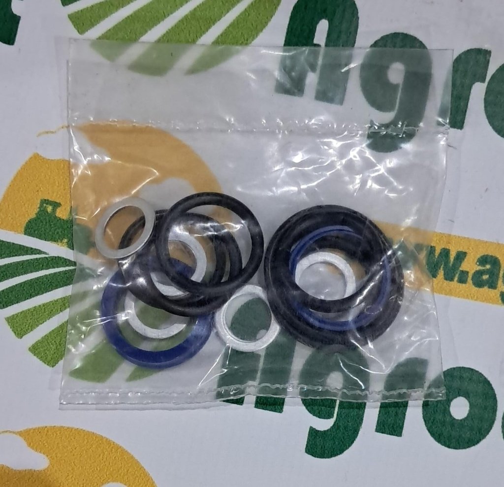 Set Garnituri Cilindru Directie