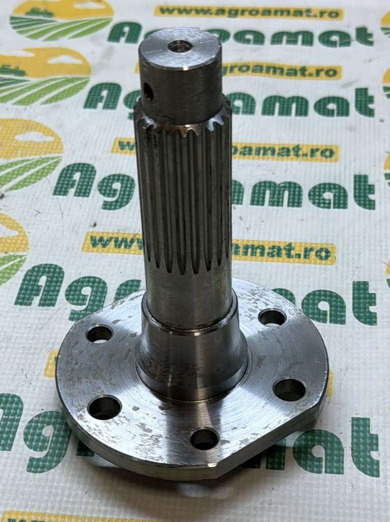 Butuc 89593577