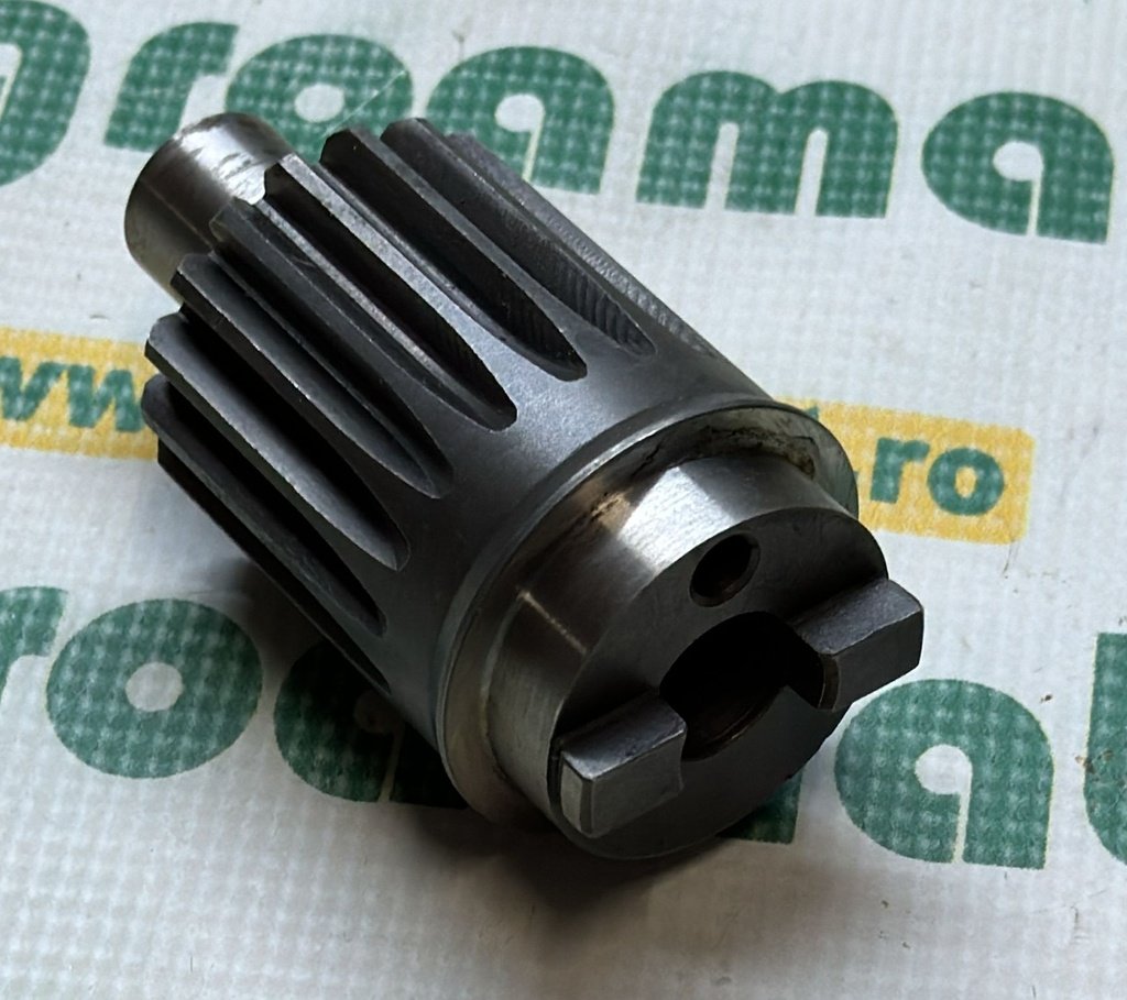 Pinion (1-Gaura) 5080071