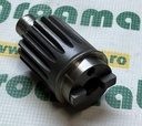 Pinion (1-Gaura) 5080071