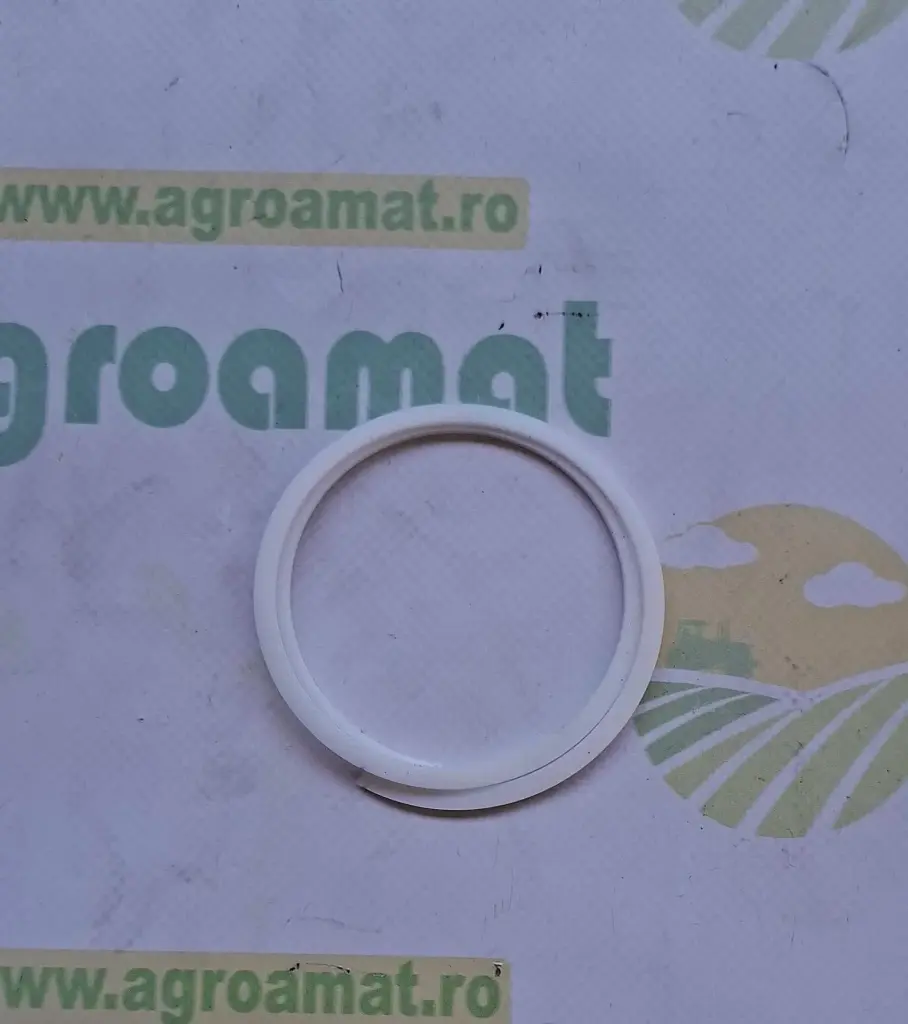 O-ring Z42029