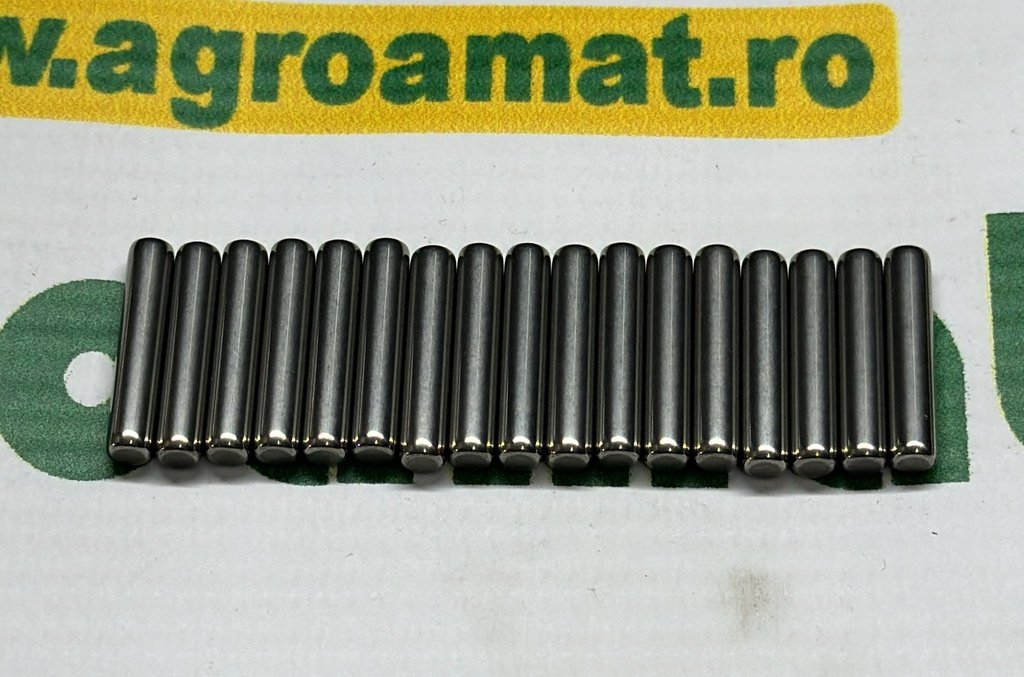 Rulment Pinion Satelit Fata 5103755