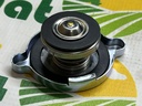 Buson RE71863