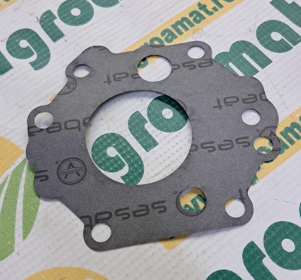 Garnitura Pompa R129971