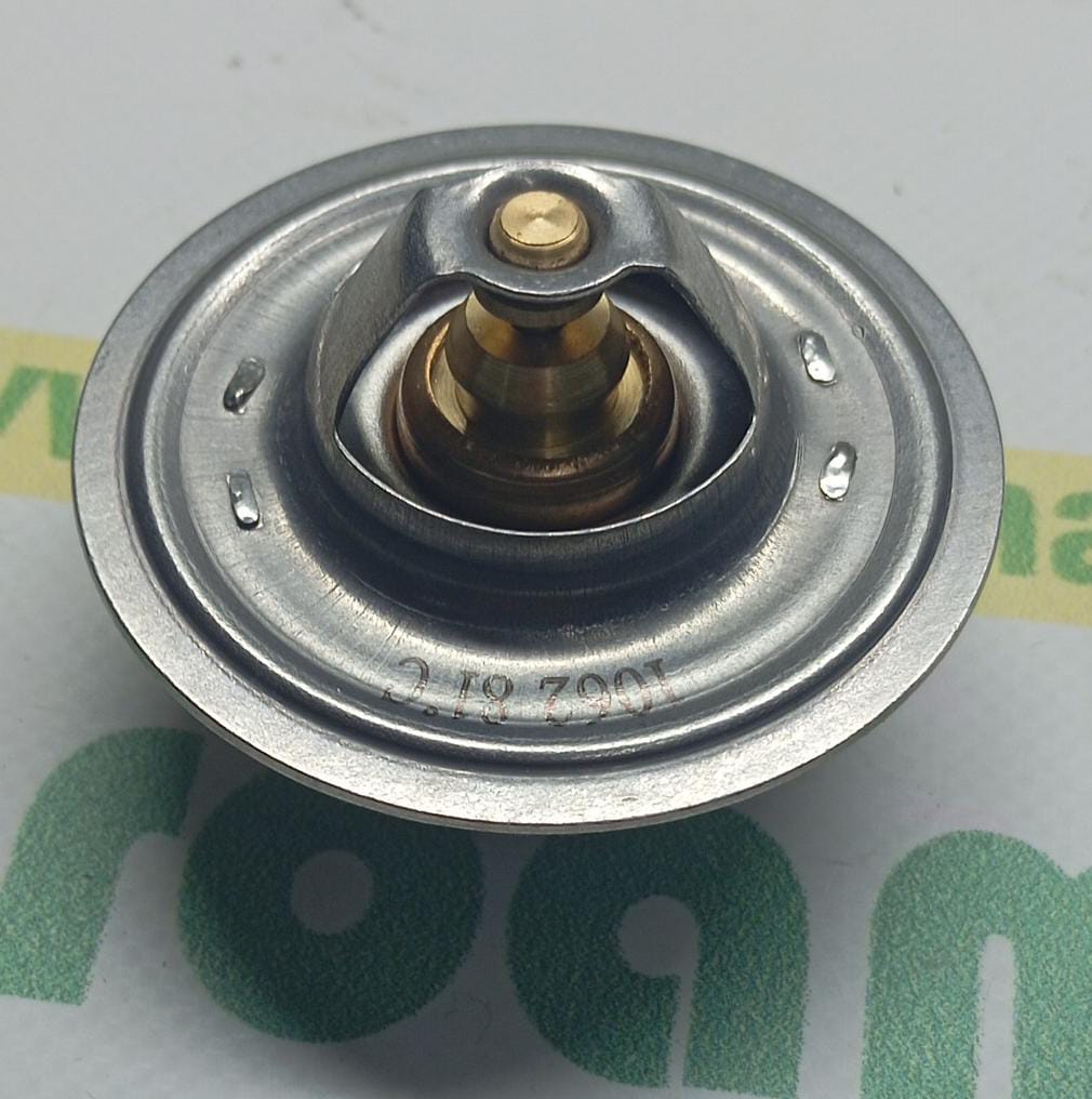 Termostat 87803070