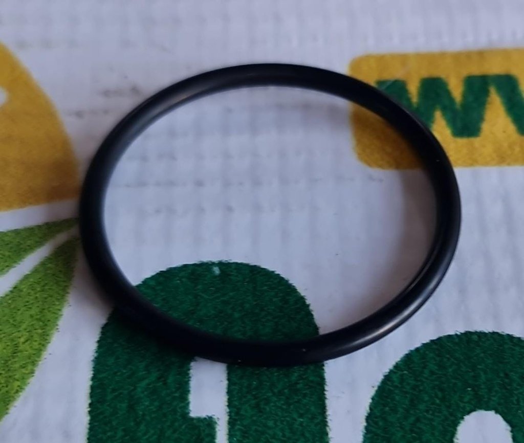 O-ring X548890866000