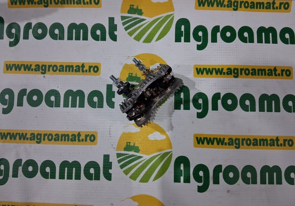 Punte Diode 12V