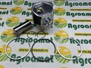 Piston cu Segmenti 1931002