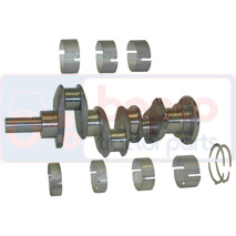 Vibrochen 31312532