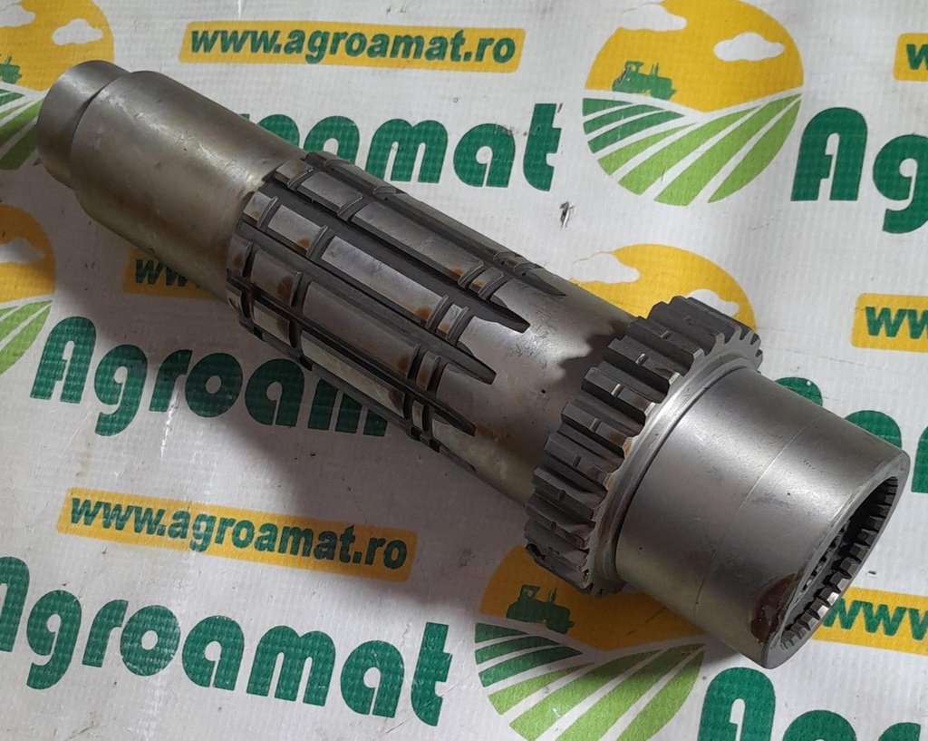 Arbore Priza Putere R231766