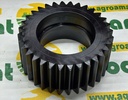 Pinion Z-32 R105829