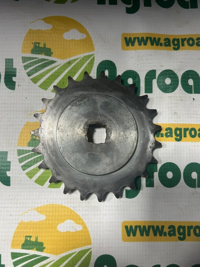 Pinion Cutie SH  G16630410R Z23
