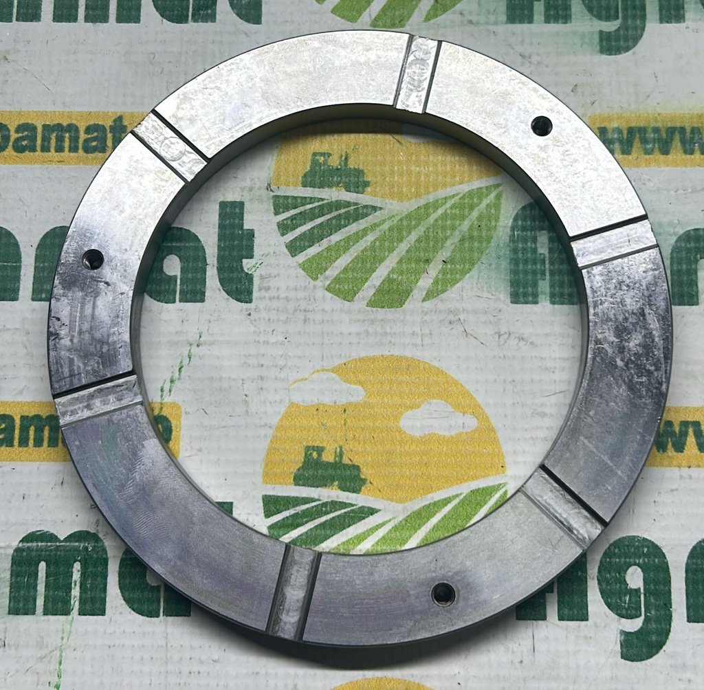 Piston Frana 0.007.7648.0
