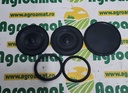 Kit membrane Pompa Rau 101/90mm