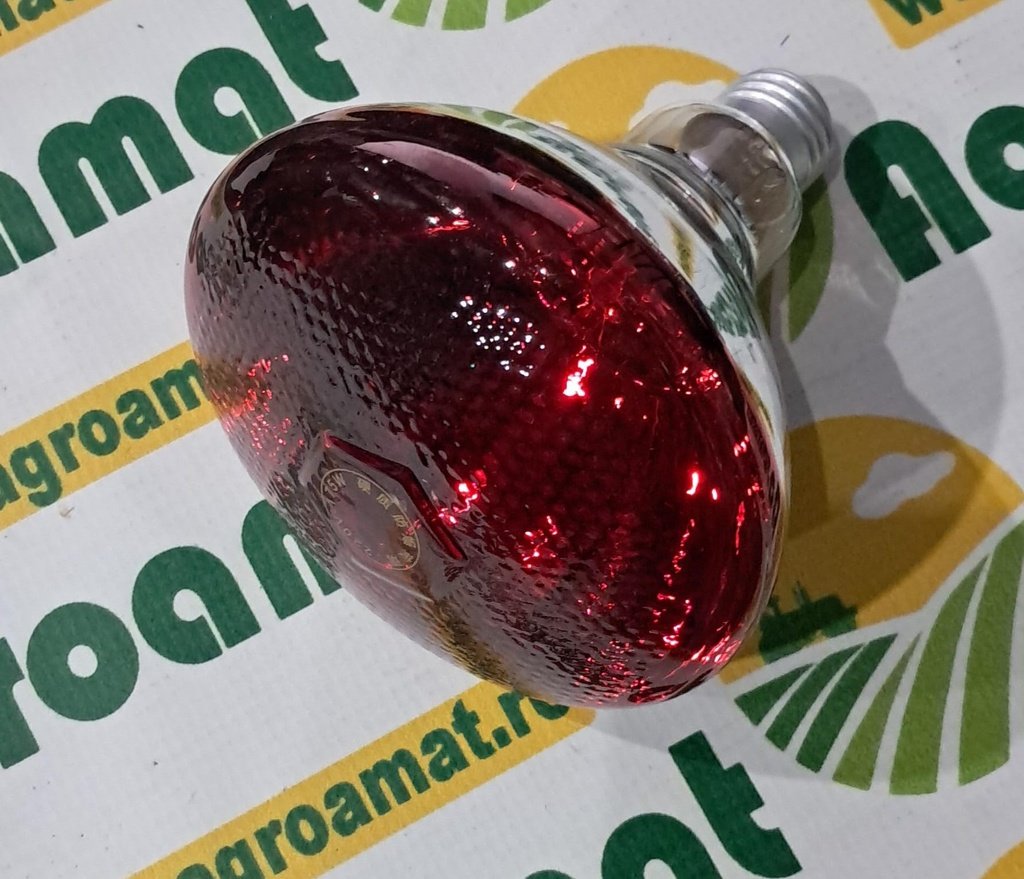 Bec Incalzire Pui, Animale E27, 175W, 230V