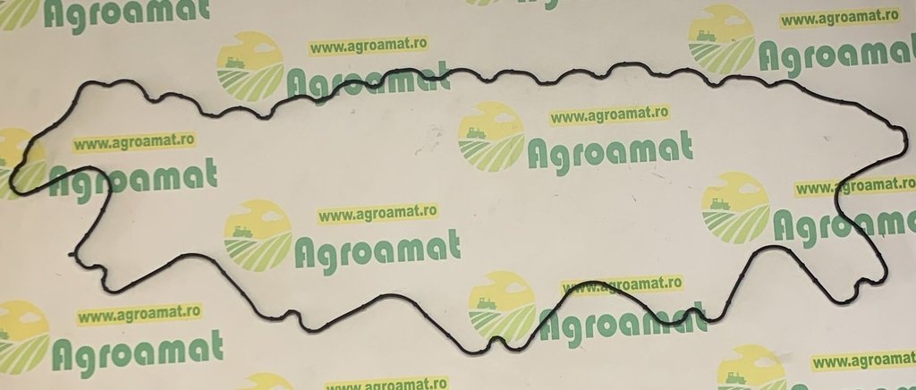 Garnitura Capac Org. 04291418