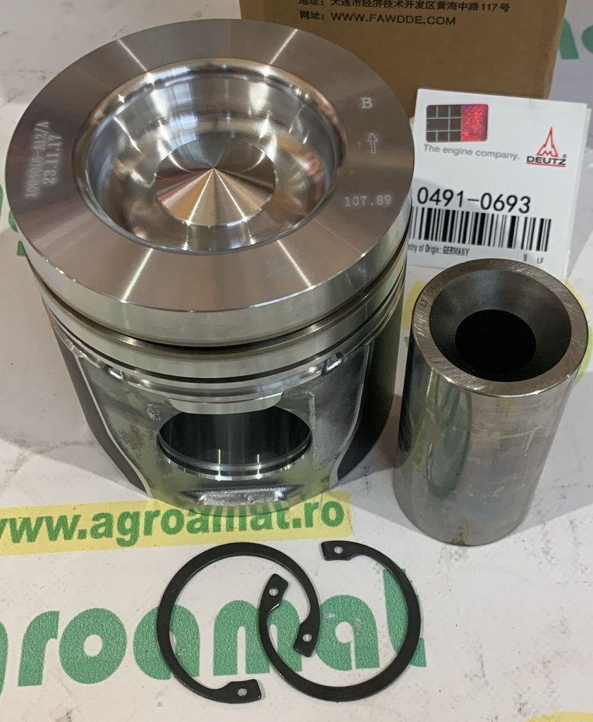 Piston cu Segmenti 04910693