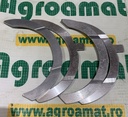 Set Cuzineti axiali Org. 02931881 
