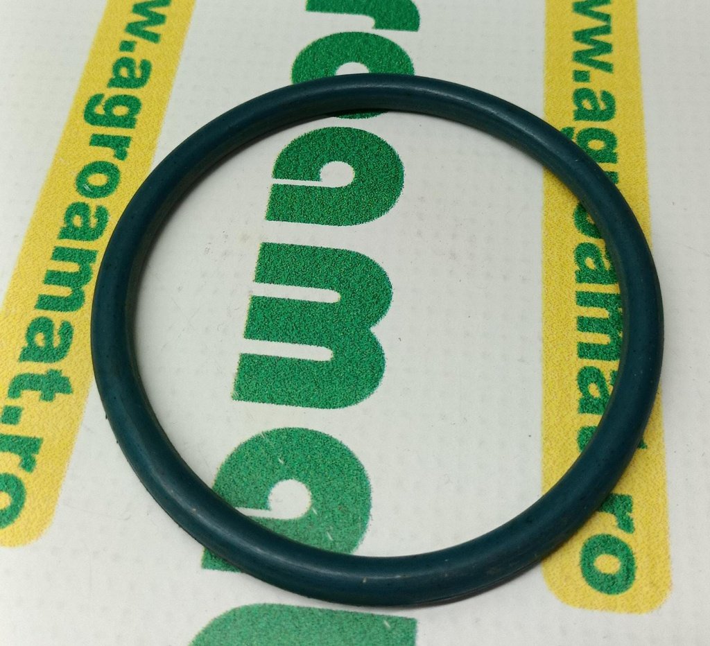 O-Ring Etansare X548958479000
