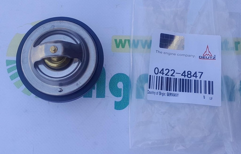Termostat Motor Org. F119200050040