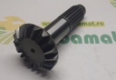 Pinion Grup 1347260C1