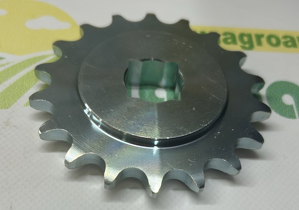 Pinion Lant G17131570R