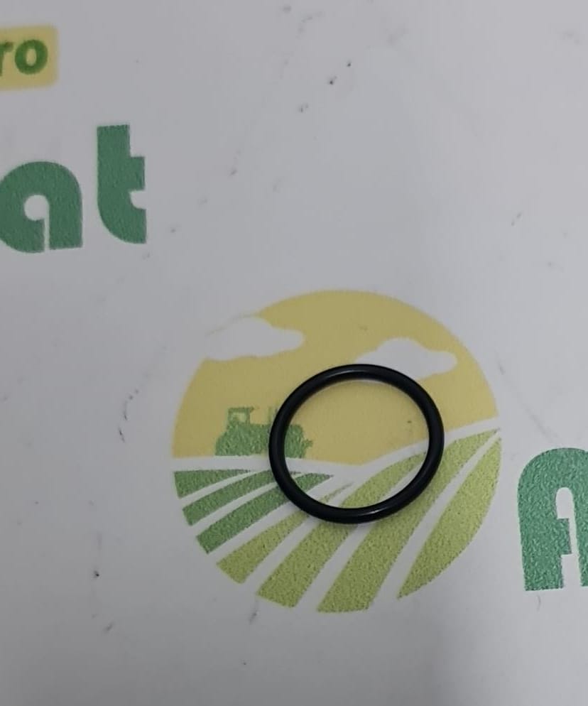 O-ring 481750300