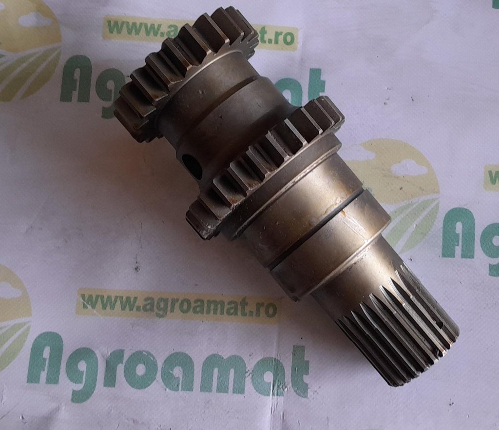 Arbore Cutie Viteza F181108080090