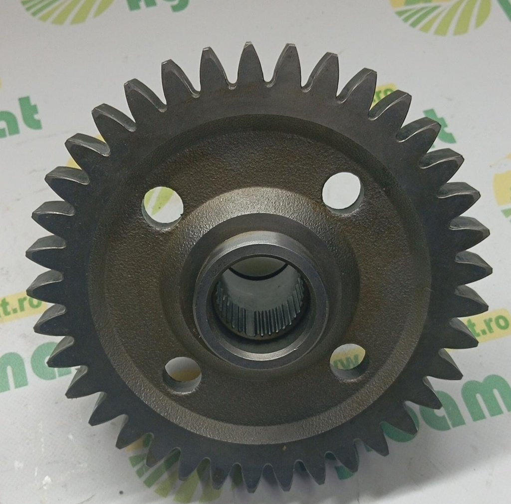 Pinion Punte Fata Z-37 R165577
