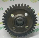Pinion Punte Fata Z-37 R165577