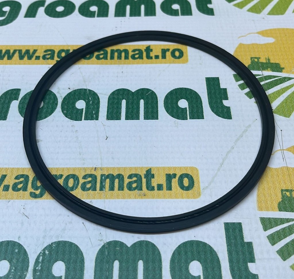 O-ring 1870859M1