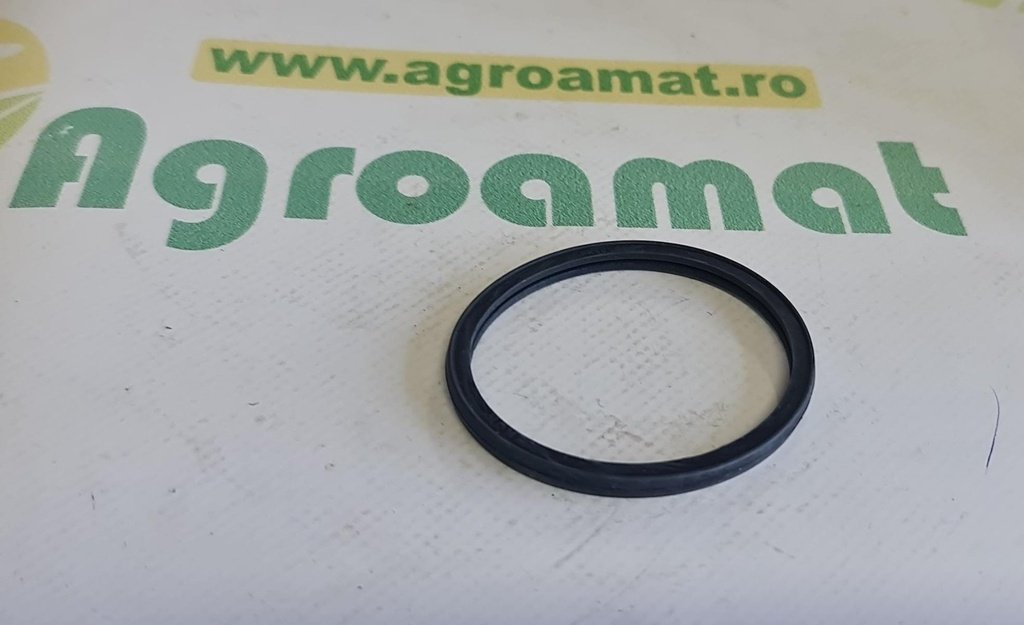 Garnitura Termostat R521548 