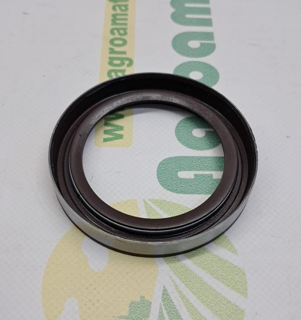 Simering Fata Arbore Motor