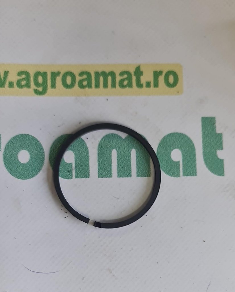 Segment Piston Hidraulic 3699909M1