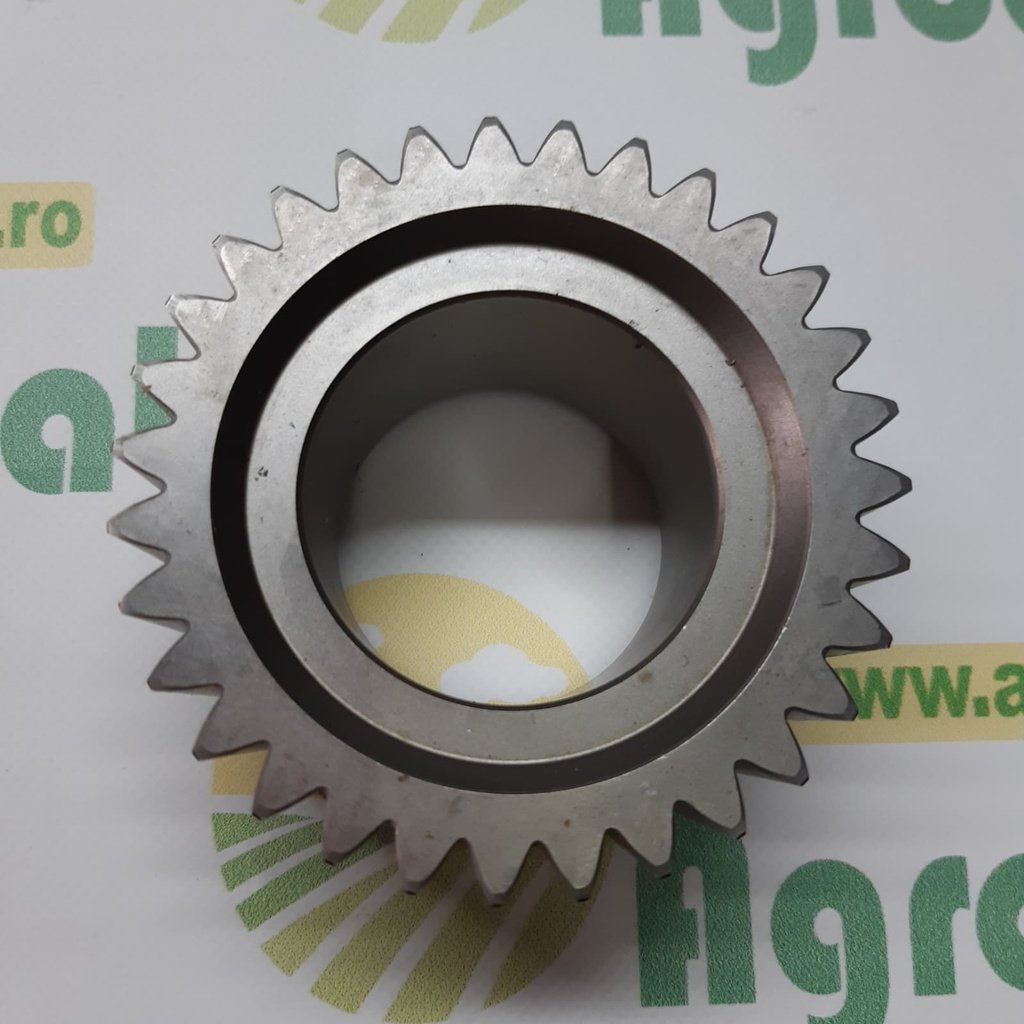 Pinion Planetara Z-31 CA138736