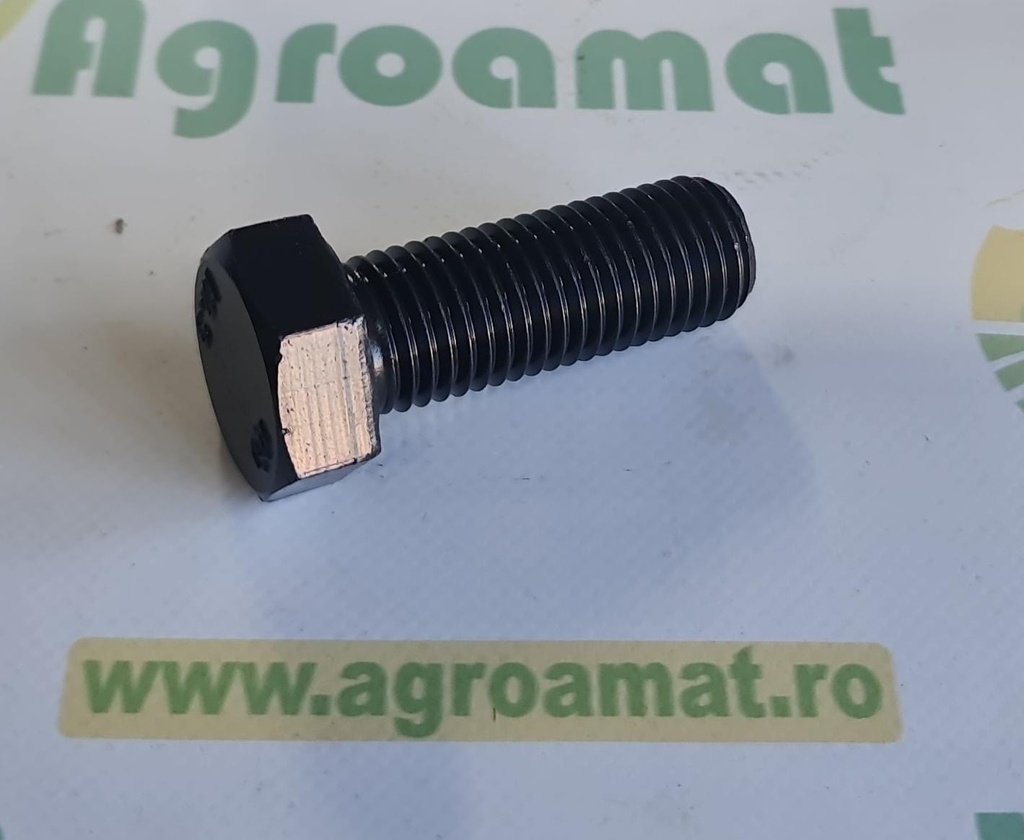 Surub Cap Hexagonal M20x55mm