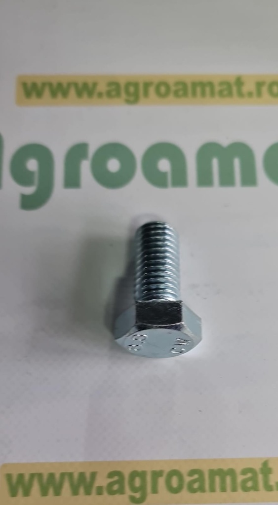 Surub Cap Hexagonal