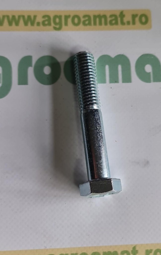 Surub Cap Hexagonal M12x70mm 