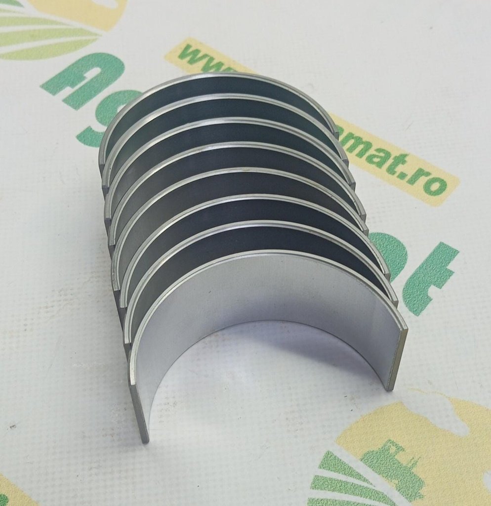 Cuzineti Biela Std.