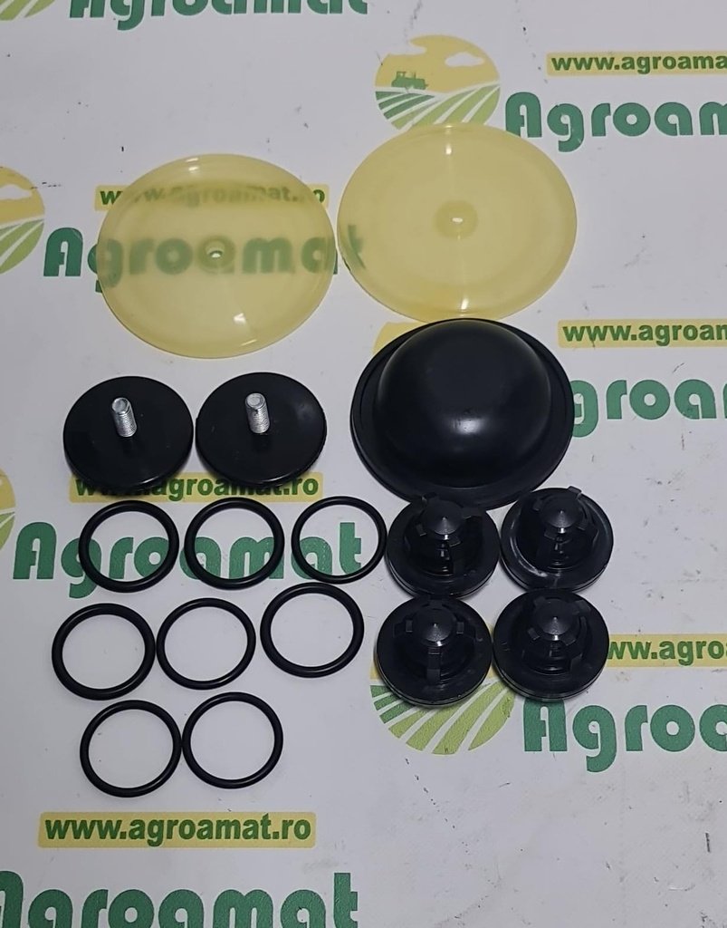 Kit Reparare Pompa Biardski P-120