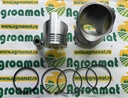 Set Motor Fiat 23/31-268