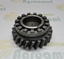 Pinion