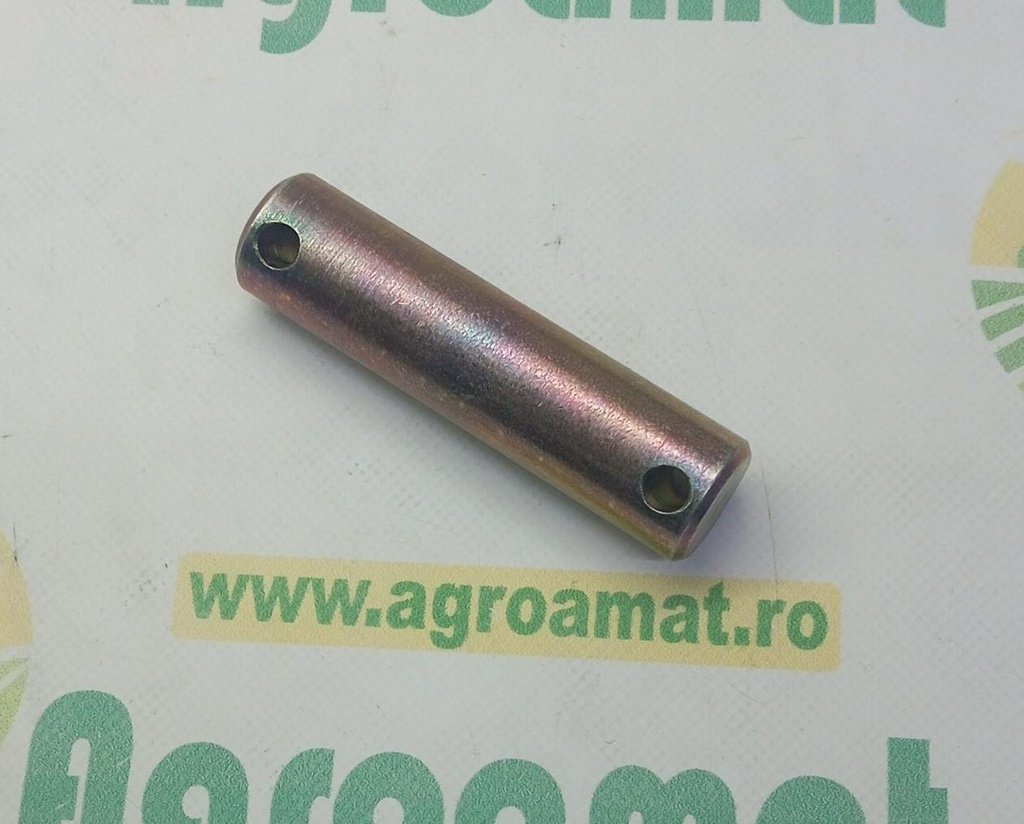 Bolt 00130407